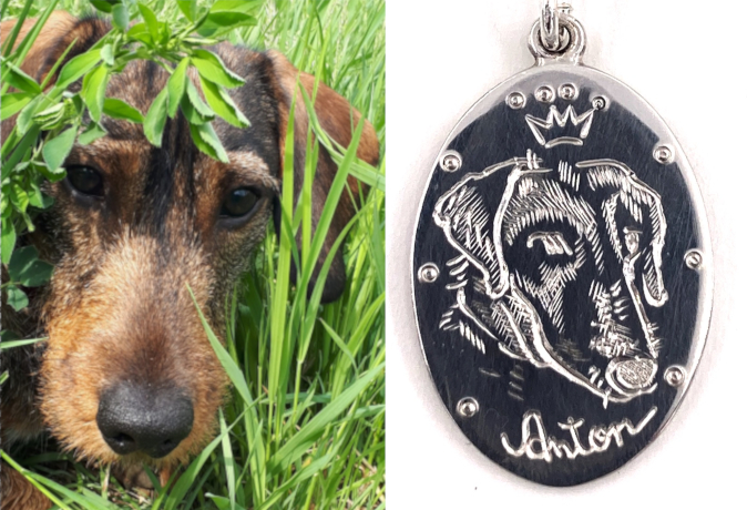 Bild miRauhhaardackel, daneben ein Silberamulett mit graviertem Hundeportrait.