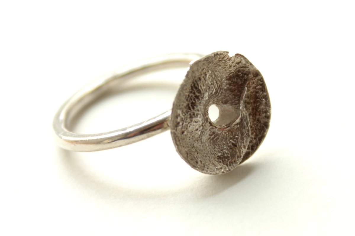 Spanish Seeds-Ring aus Silber und Bronze mit gegossenen, scheibenförmigen Samenhülsen.